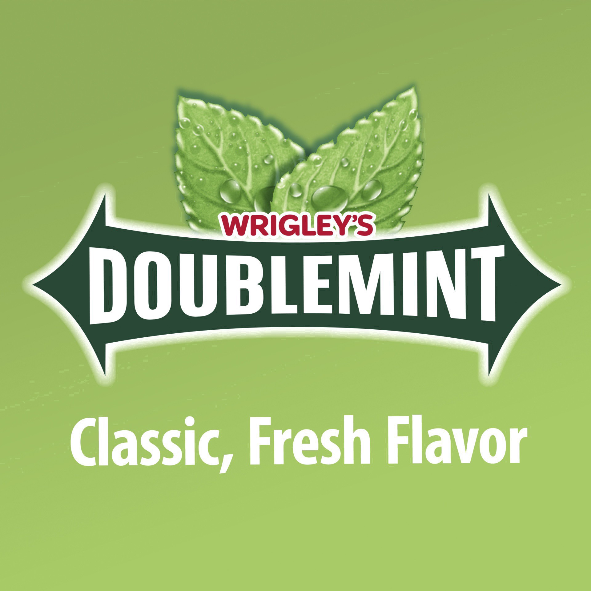 slide 34 of 134, Doublemint WRIGLEY'S DOUBLEMINT Bulk Chewing Gum, Value Pack, 15 ct (3 Pack), 45 ct