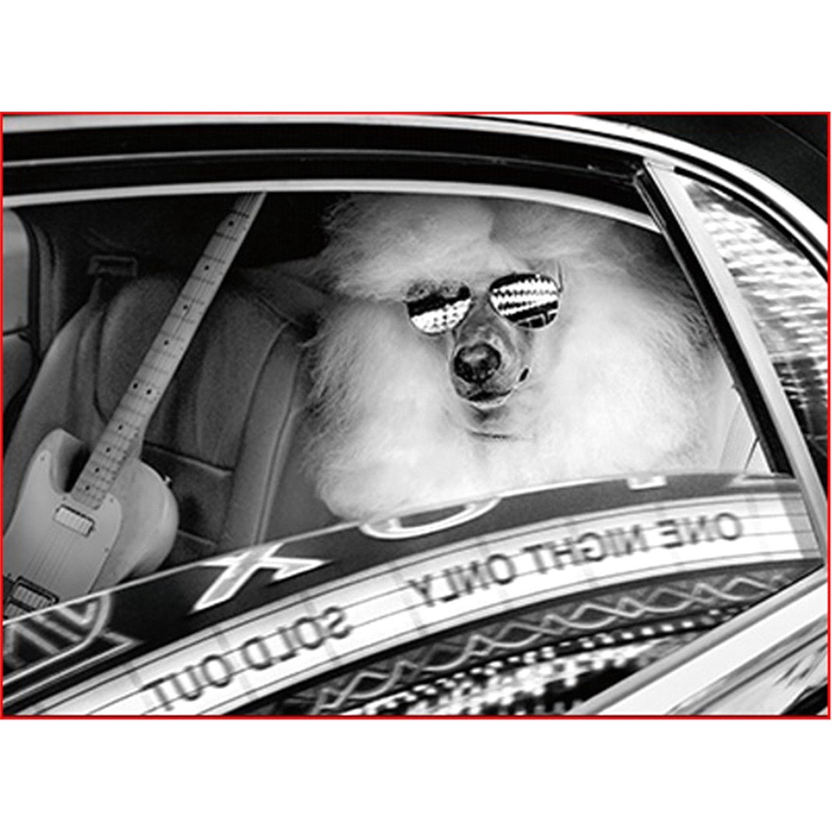 slide 1 of 1, Avanti Card Easter Bunny And Duckling, 1 ct