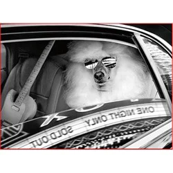 Avanti Easter Bunny And Duckling Card