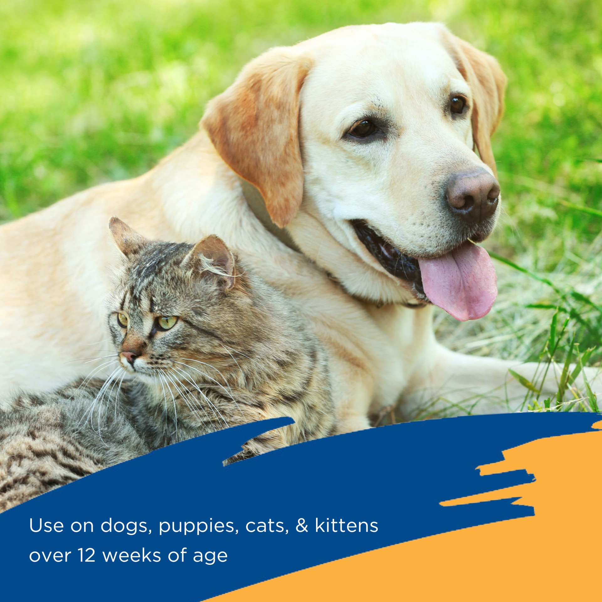 slide 4 of 6, Zodiac Flea & Tick Spray for Dogs, Cats, Puppies & Kittens 16 fluid ounces, 1 ct