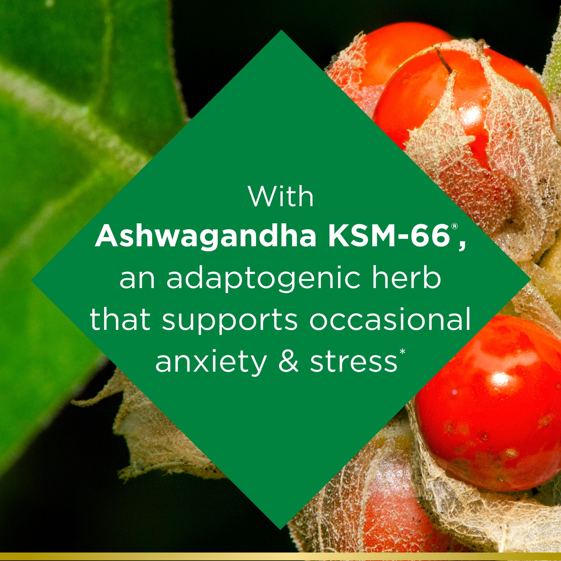 slide 3 of 5, Nature's Bounty Anxiety & Stress Relief Ashwagandha Supplement Tablets, 50 ct