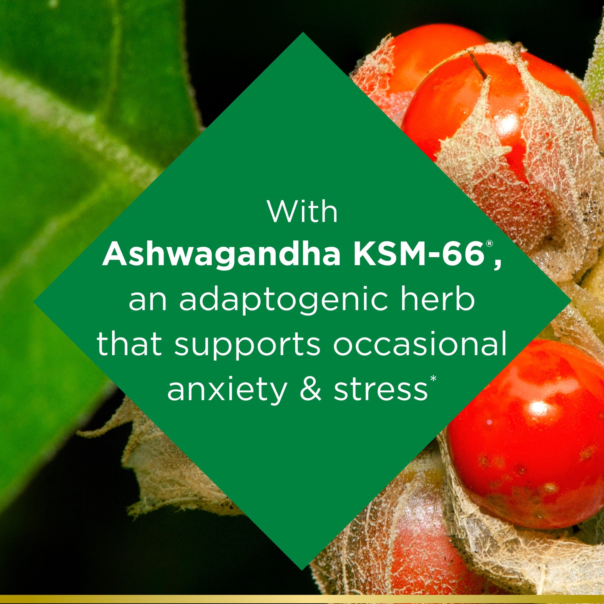 slide 2 of 5, Nature's Bounty Nature''s Bounty Anxiety & Stress Relief Ashwagandha KSM 66, L-Theanine, Dietary Supplement, Tablets, 50 Ct, 50 ct