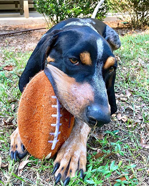 slide 2 of 10, Nylabone Power Play Dog Football Gripz Large/Giant - Up to 50 lbs. 8.5 Inch (1 Count), 1 ct