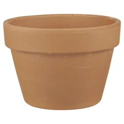 New England Pottery Pot Fern/Azalea Terra Cotta 6.75