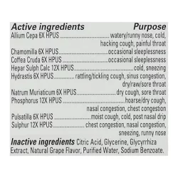 Hyland's Naturals 4Kids Grape Cold And Cough Nightime Syrup - 4 Fl. Oz.