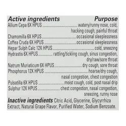 Hyland's Naturals 4Kids Grape Cold And Cough Nightime Syrup - 4 Fl. Oz.