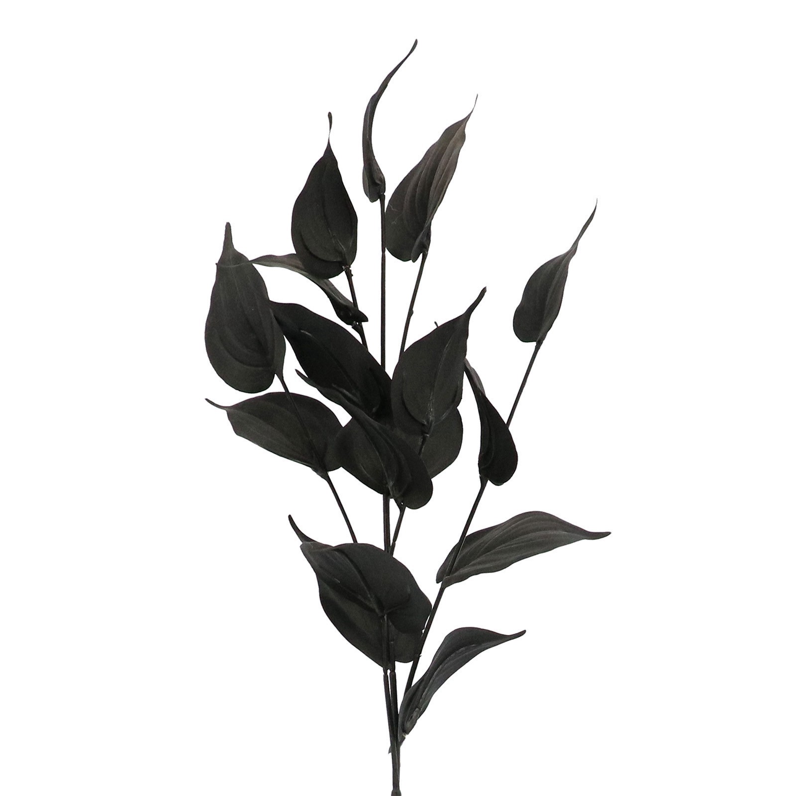 slide 2 of 2, Black Philodendron Leaves Stem By Ashland, 11 in x 11 in x 29 in