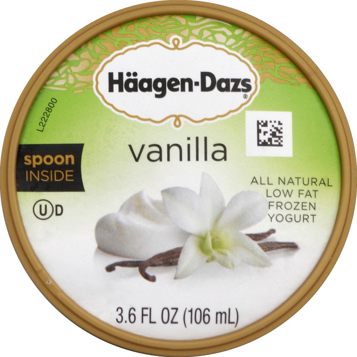 slide 2 of 6, Häagen-Dazs Frozen Yogurt, Low Fat, Vanilla, 3.6 oz