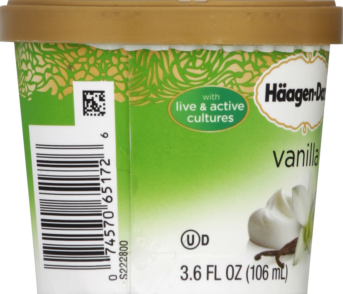 slide 3 of 6, Häagen-Dazs Frozen Yogurt, Low Fat, Vanilla, 3.6 oz