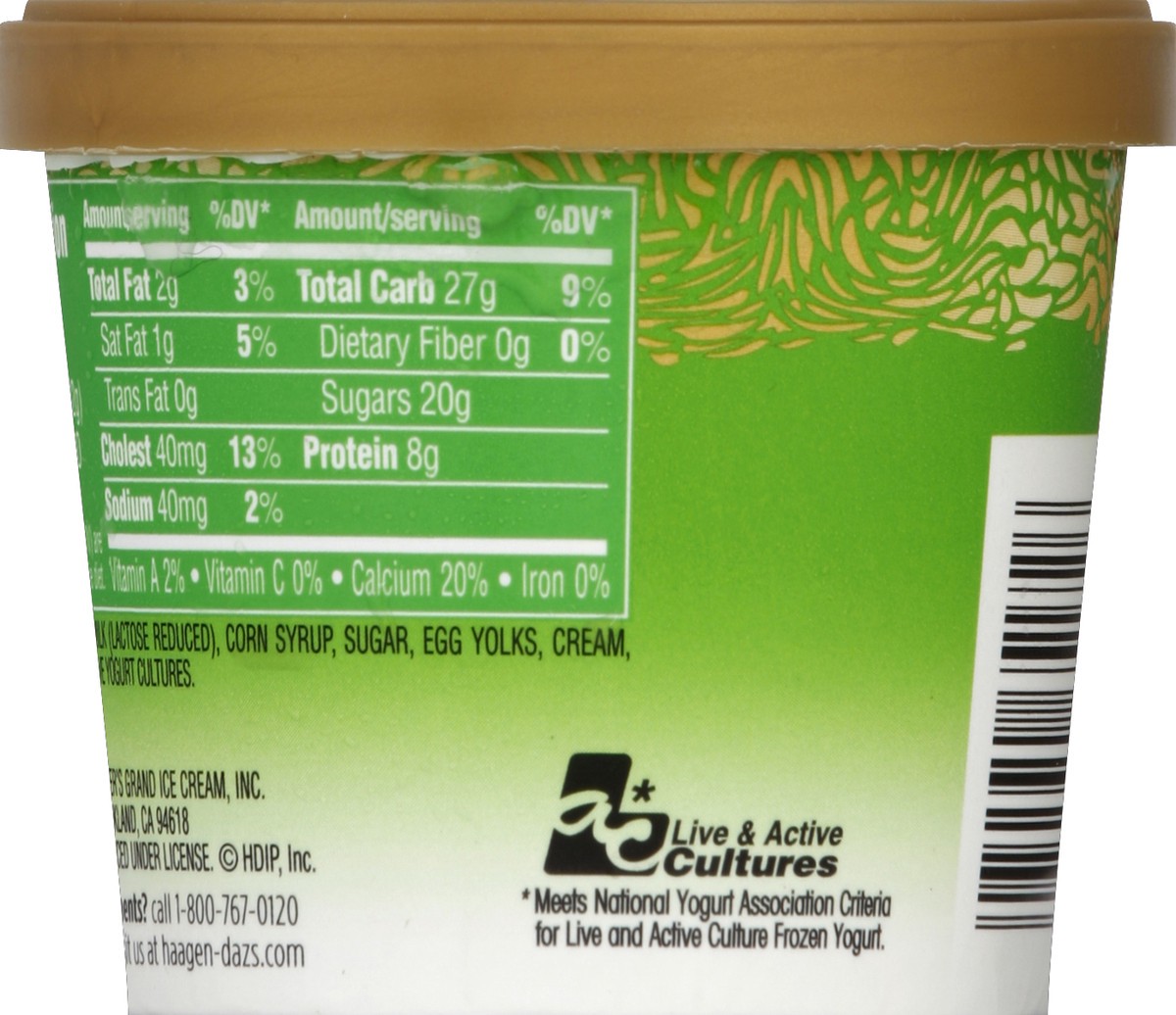 slide 6 of 6, Häagen-Dazs Frozen Yogurt, Low Fat, Vanilla, 3.6 oz