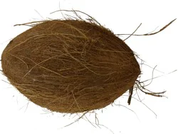 Coconuts In Husk