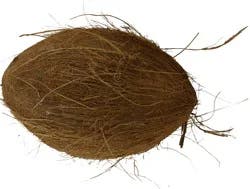 Coconuts In Husk