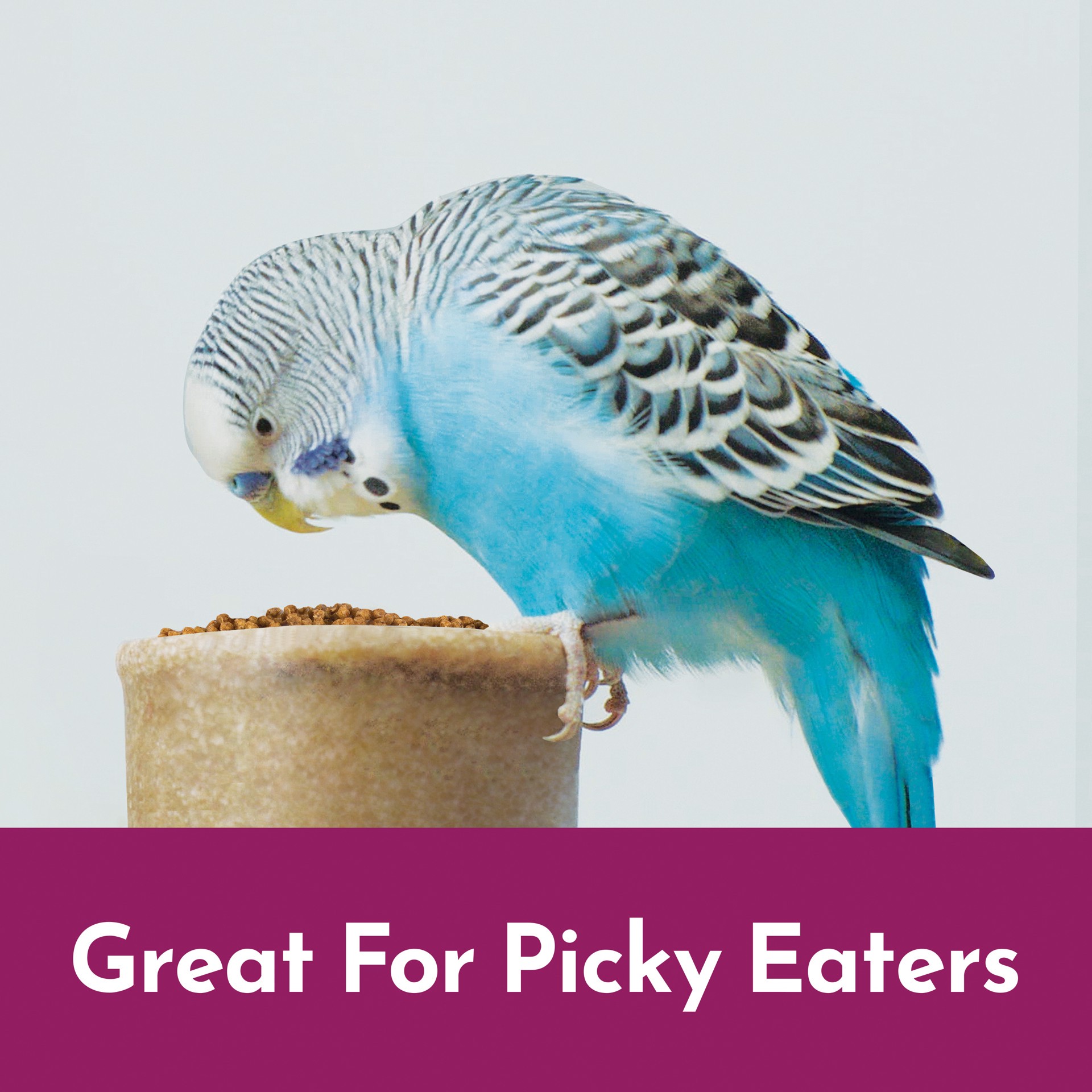 slide 3 of 10, Kaytee NutriSoft Parakeet and Cockatiel Pet Bird Food 2 lb, 1 ct