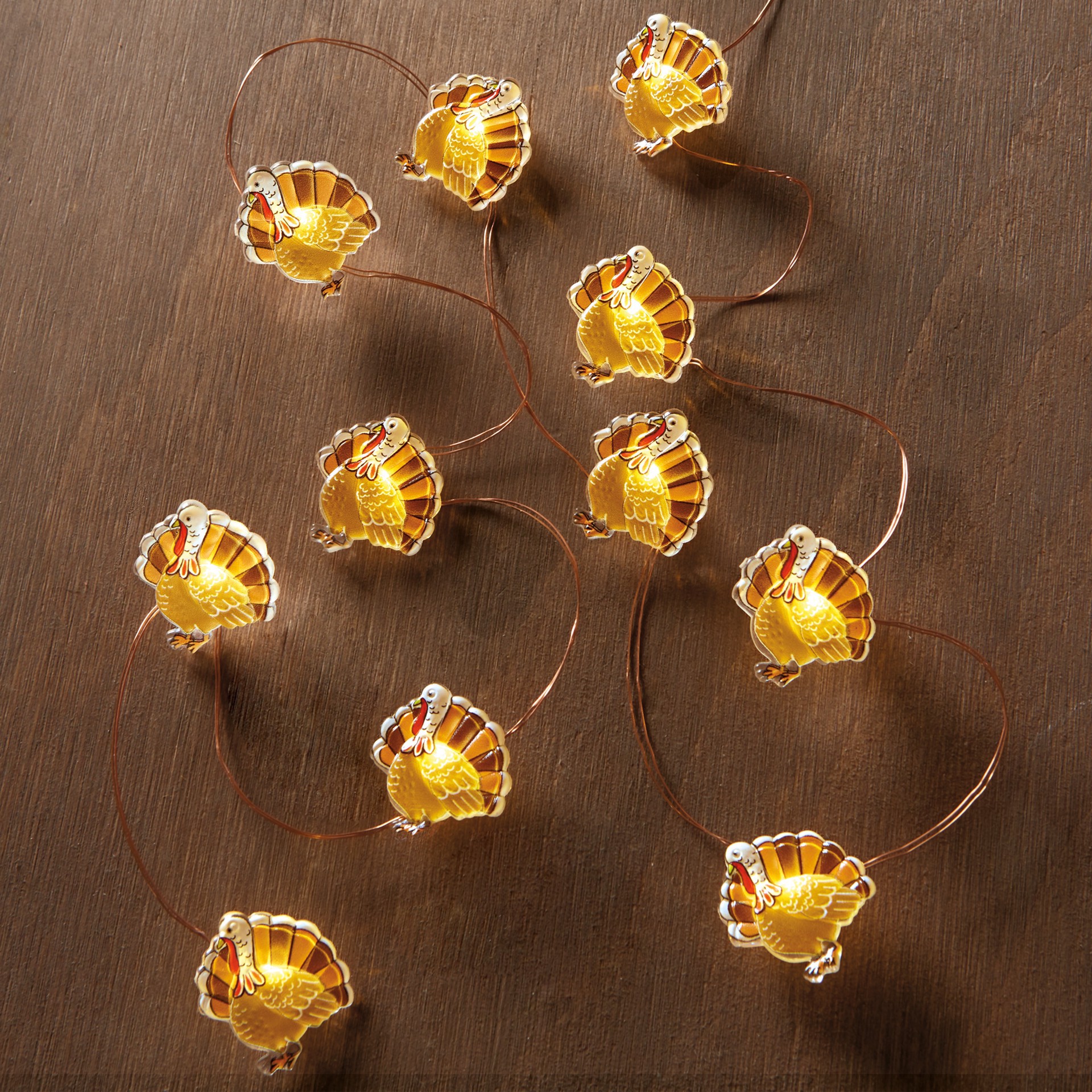 slide 4 of 4, 18ct. Warm White Led Turkey Icon String Lights By Ashland, 18 ct