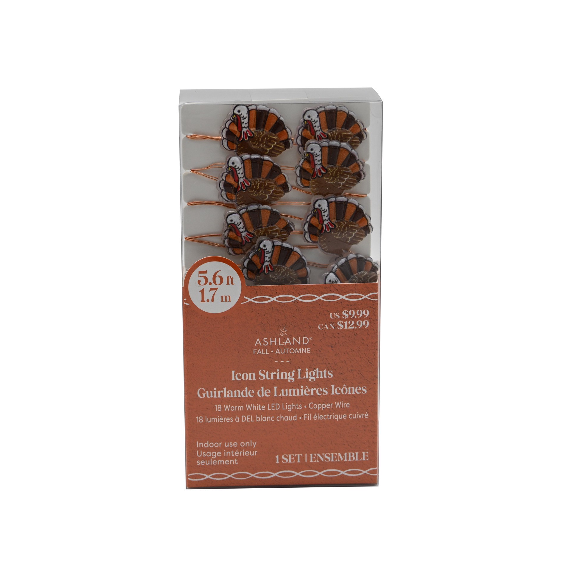 slide 2 of 4, 18ct. Warm White Led Turkey Icon String Lights By Ashland, 18 ct