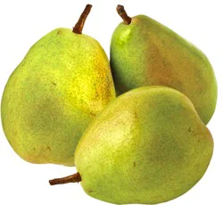 D'Anjou Pear