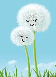 Avanti Press I Mom And Child Dandelions