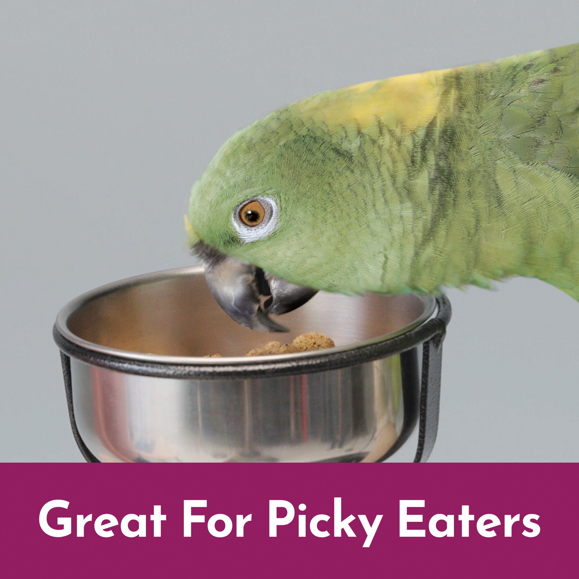 slide 9 of 10, Kaytee Nutrisoft Parrot & Conure Pet Bird Food 3 lb., 1 ct