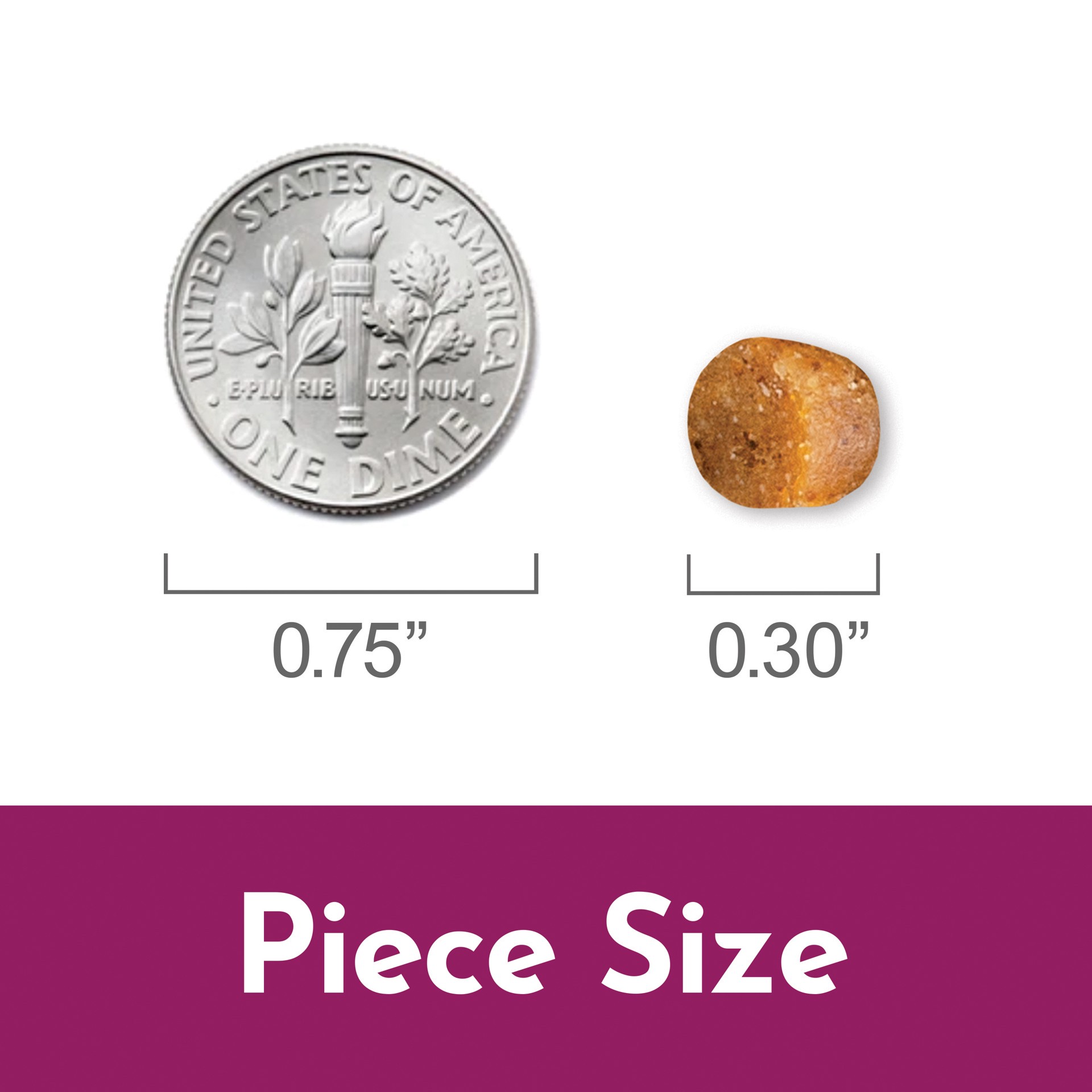 slide 4 of 10, Kaytee Nutrisoft Parrot & Conure Pet Bird Food 3 lb., 1 ct