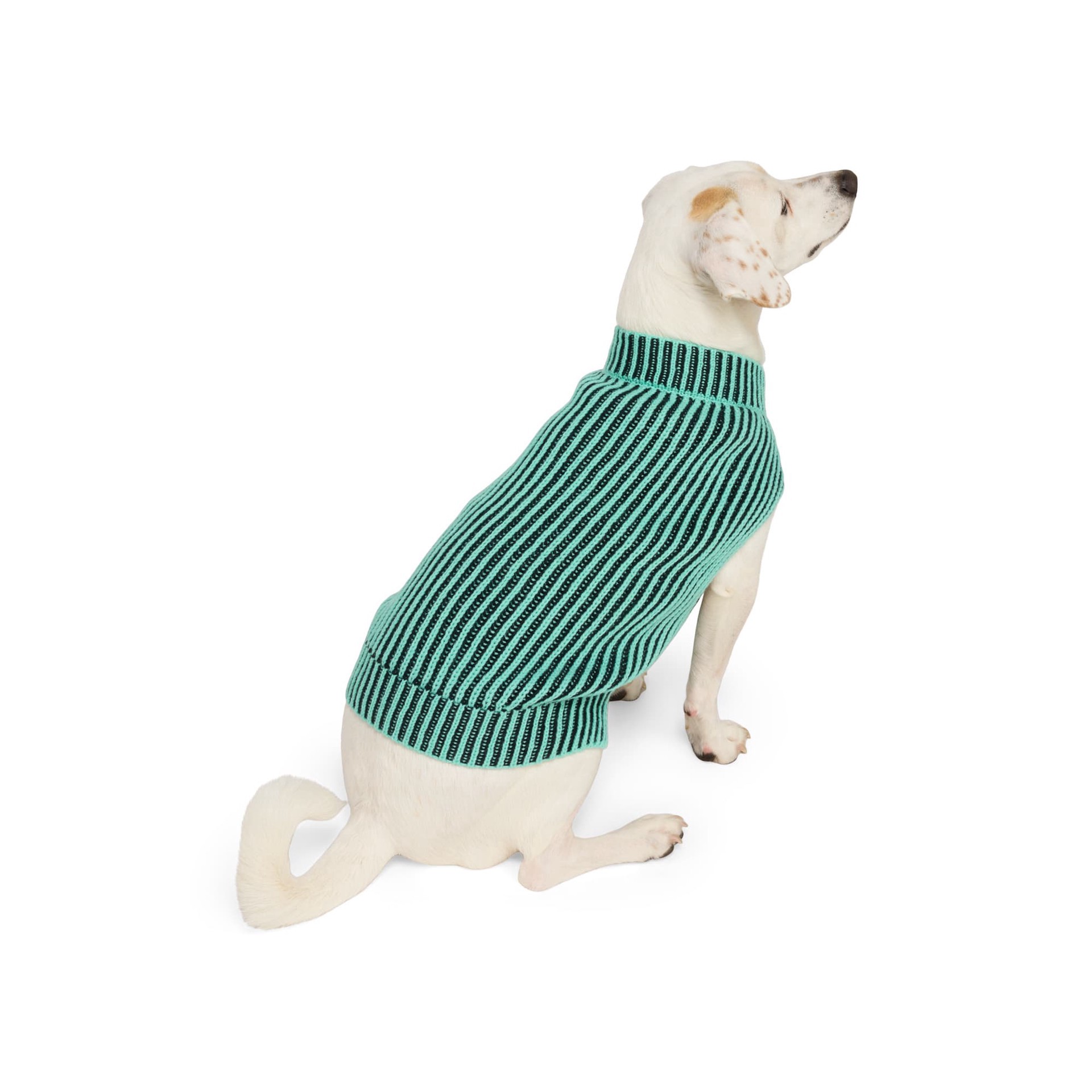 slide 1 of 1, YOULY Green Knit Pet Sweater, Green, Small, 1 ct