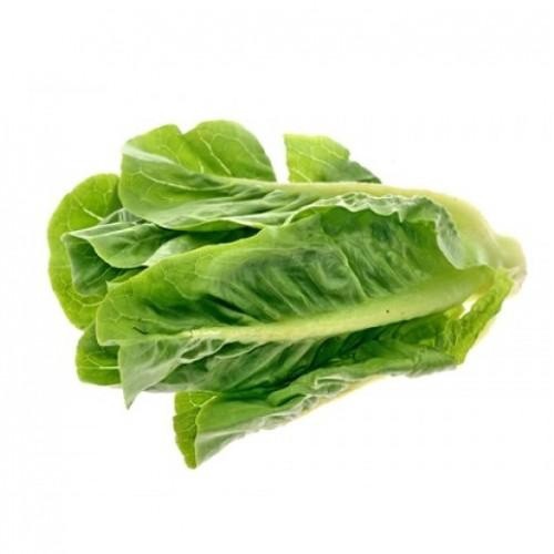 slide 1 of 1, Organic Romaine Lettuce, 1 ct