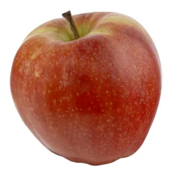 Nature's Promise Organic Gala Apples