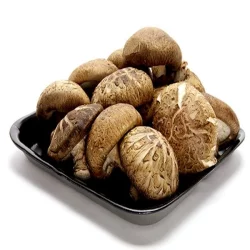 Marusho Musroom Shiitake