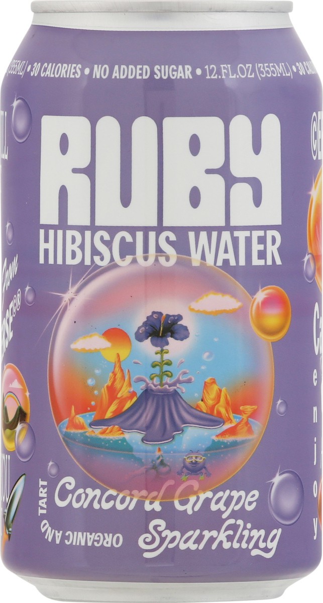 slide 6 of 9, Ruby Hibiscus Fuji Apple Sparkling Water- 12 fl oz, 12 fl oz