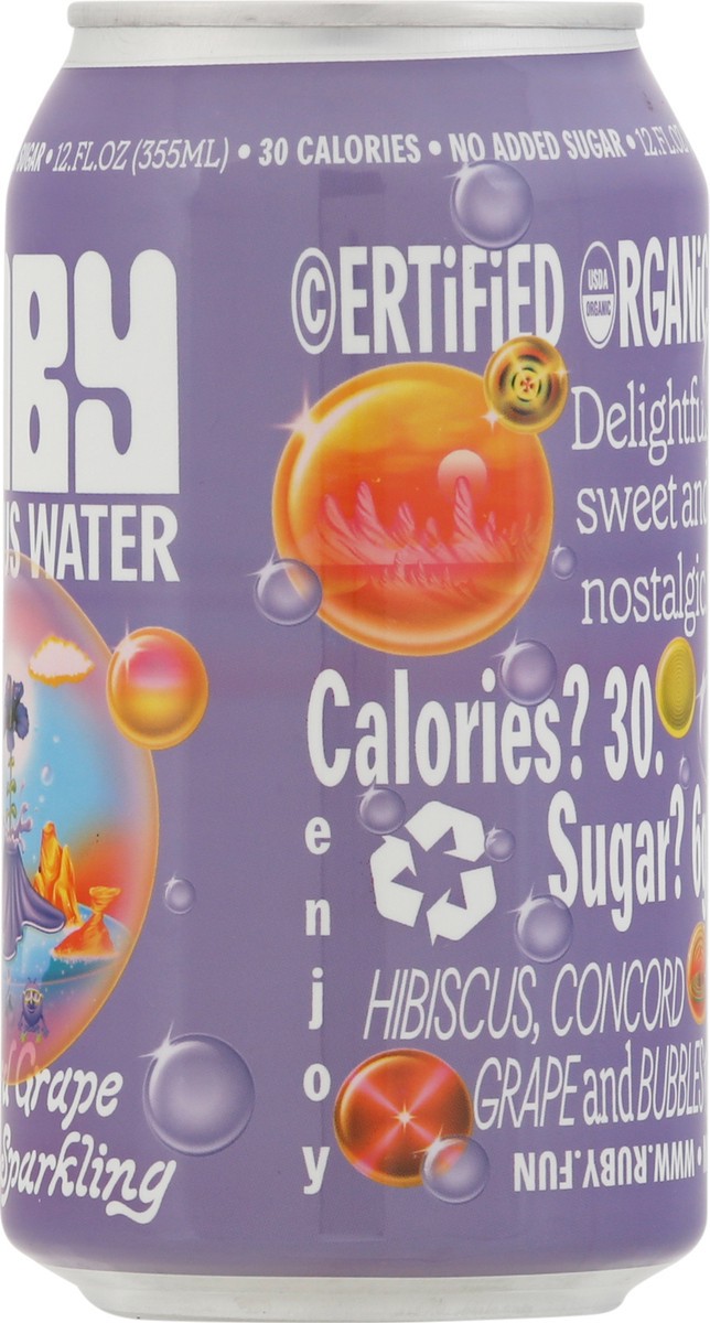slide 4 of 9, Ruby Hibiscus Fuji Apple Sparkling Water- 12 fl oz, 12 fl oz