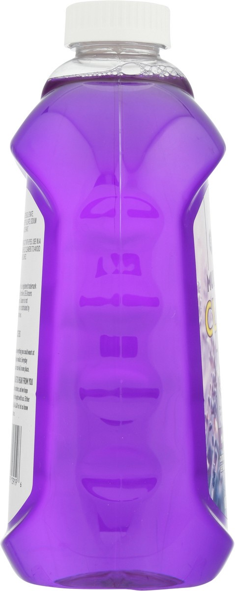 slide 9 of 12, SE Grocers Lav All Purp Cleaner, 56 oz