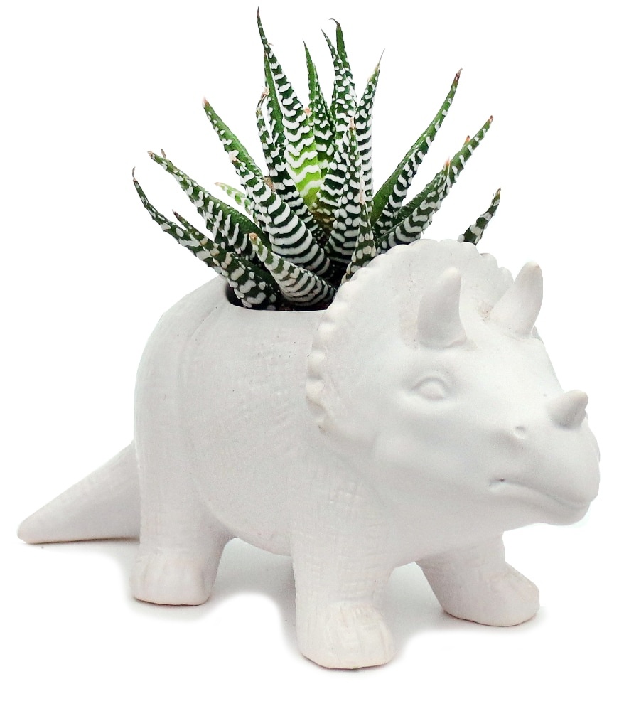 slide 1 of 1, Dinosaur Ceramic Planter With Succulents, 1 ct