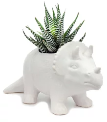 Dinosaur Bar-B-Que Ceramic Planter With Succulents