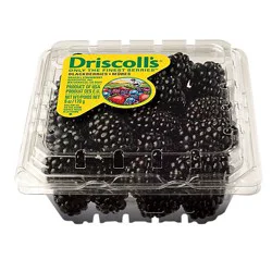 Driscoll's Blackberries