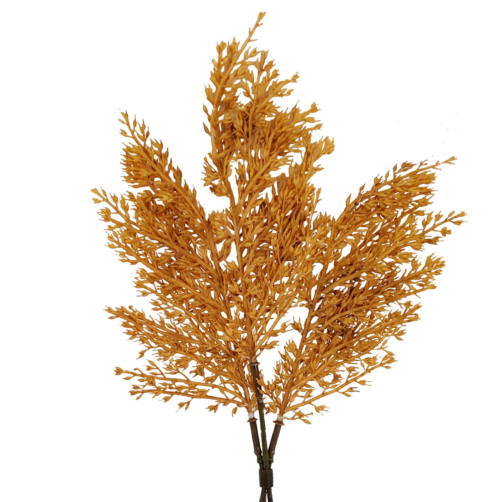 slide 3 of 3, Mini Orange Wheat Bundle By Ashland, 5 in x 5 in x 2 in