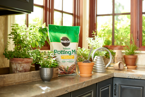 slide 8 of 13, Miracle-Gro Indoor Potting Mix, 6 qt