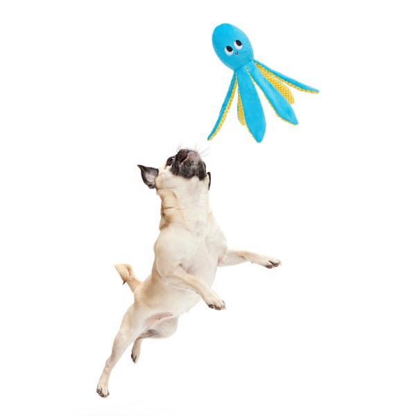 slide 4 of 9, BARK Odd Otto blue octopus plush dog toy ALL, 1 ct