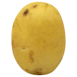 Seed Potatoes