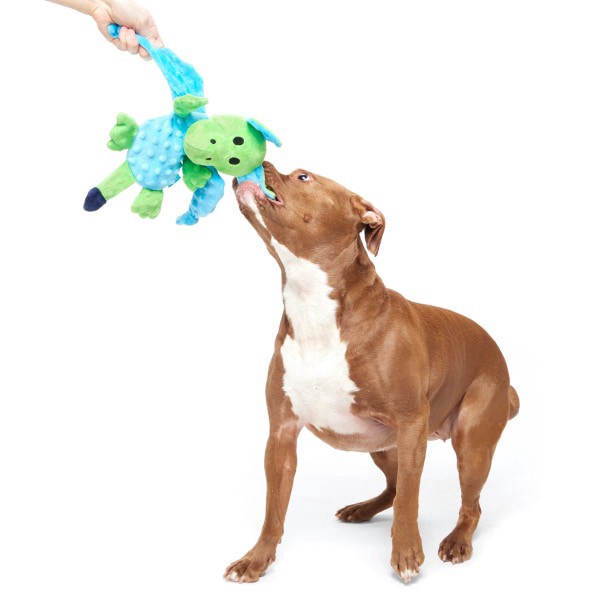 slide 3 of 9, BARK Humbert The Dragon blue green dragon plush dog toy ALL, 1 ct
