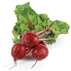 Organic Red Beets