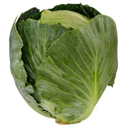 Green Cabbage