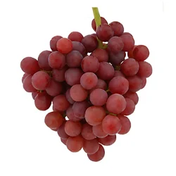Grapes - Red Globe