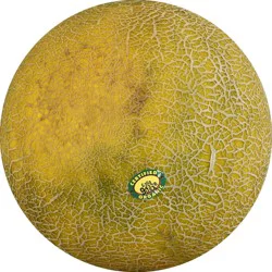 Melon Galia