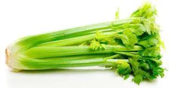 Organic Celery