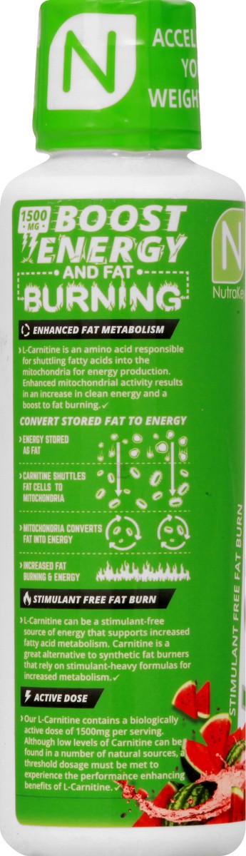 slide 8 of 12, NutraKey Delicious Watermelon L-Carnitine 16 oz, 1 ct