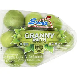 Apples - Granny Gusset Bag
