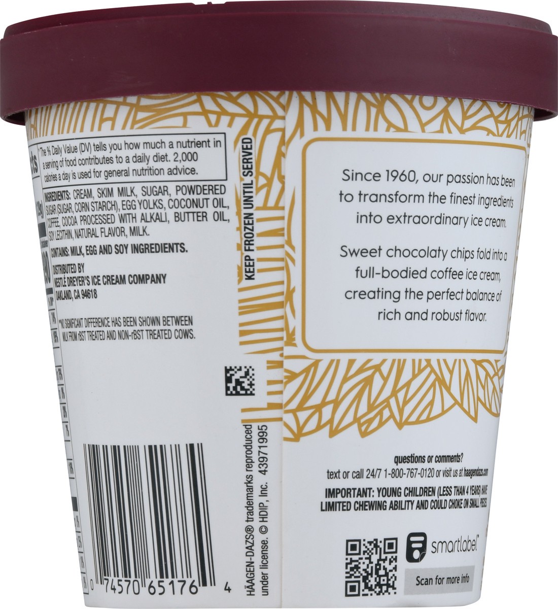 slide 5 of 9, Häagen-Dazs Coffee Chip Ice Cream 14 fl oz, 14 fl oz