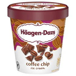 Häagen-Dazs Coffee Chip Ice Cream 14 fl oz