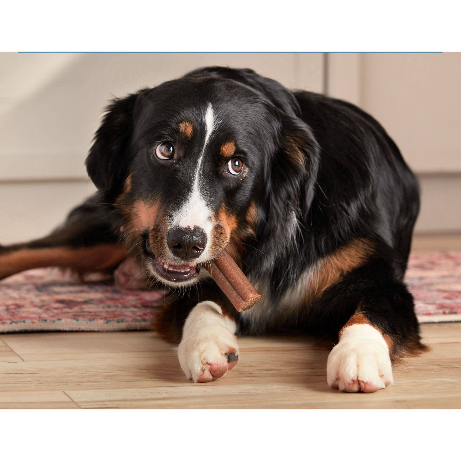 slide 6 of 13, Milk-Bone Comfort Chews, Dog Chews with Unique Chewy Texture and Real Beef, 40.8 Oz. Bag of 16 Chews, 40.8 oz