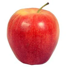 Gala Apple