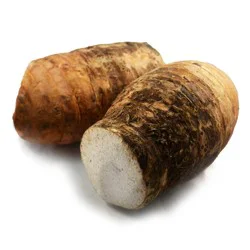Malanga Coco, Each